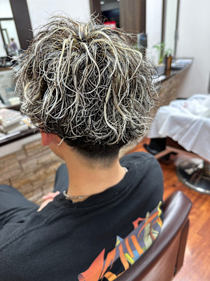 ツイスパ波巻きメッシュ