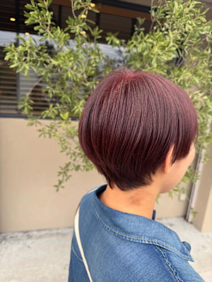 ショートスタイル　ボルドーカラー