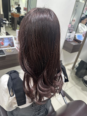 ブラウンラベンダー