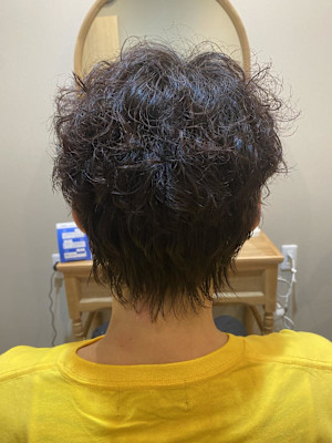 ウルフ×スパイラル