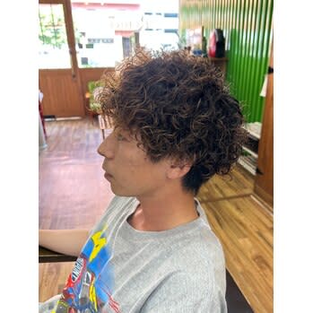 プードルパーママッシュ