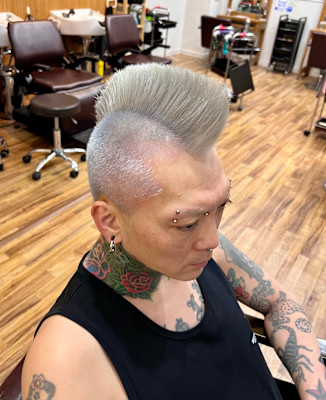 シルバーモヒカン