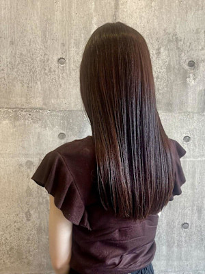 スカーレットブラウン【ARCH Sayaka】