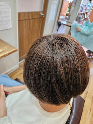 Romeo カラー　#白髪を楽しむカラー #白髪染め