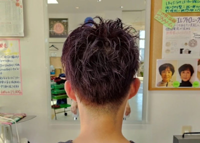 セラ・ヴェルディ×スタイル