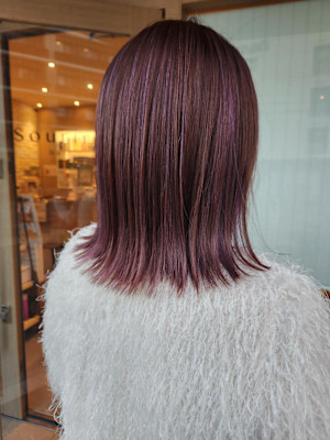 きりっぱなし　ピンクバイオレット