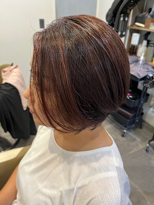 SiPULi×スタイル