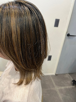 SiPULi×スタイル