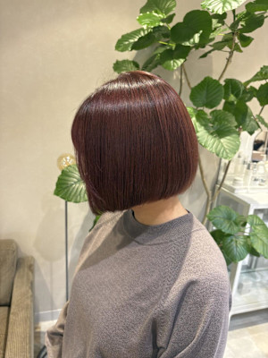 カシスオレンジ×ボブ