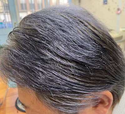 ブリーチ　シルバー系カラー