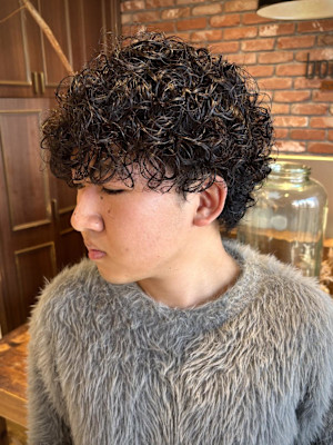 メンズカットパーマプードルパーマ