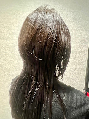 ウルフロングスタイル