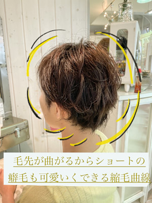 angeliQue （アンジェリック）×スタイル