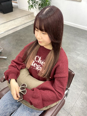 カシスブラウン/カシスカラー/レッドブラウンカラー