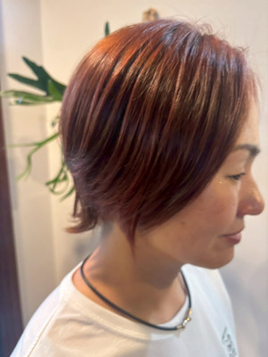 PLUS 【プルス】墨染店×スタイル