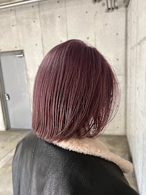 ピンクラベンダー