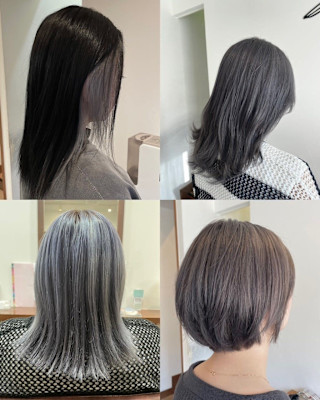 シルバーアッシュ