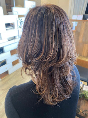 ウルフ×ハイライト/20代/30代/40代/50代/60代