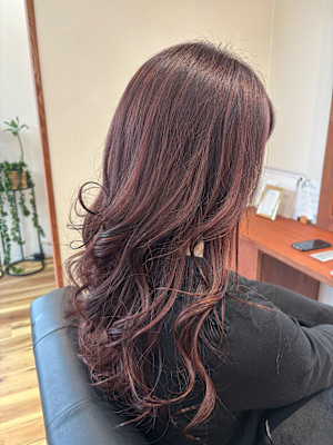 ハイライト（ボルドー）