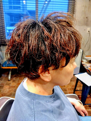 海外　子供のクセ毛風