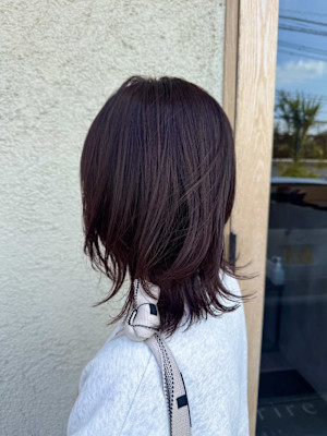 ラベンダーカラー