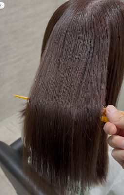 avocado 本町×スタイル