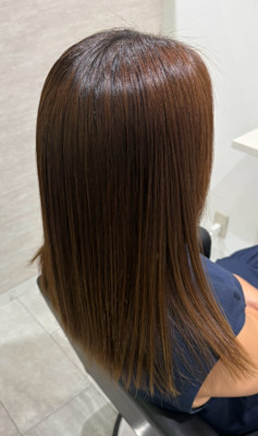 avocado 本町×スタイル