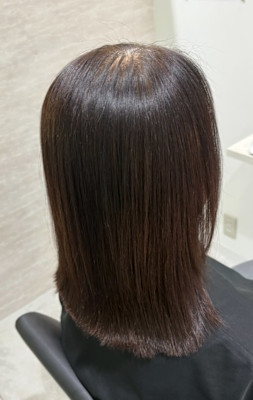 avocado 本町×スタイル