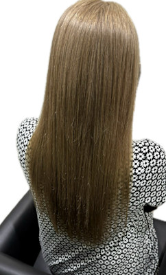 avocado 本町×スタイル