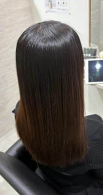 avocado 本町×スタイル