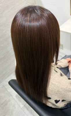 avocado 本町×スタイル