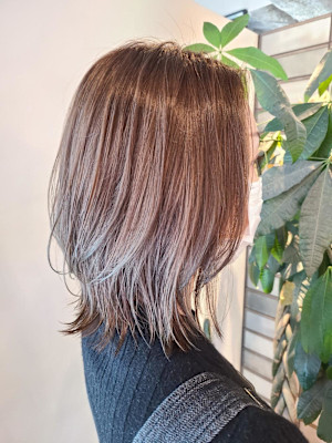 ウルフレイヤーボブ