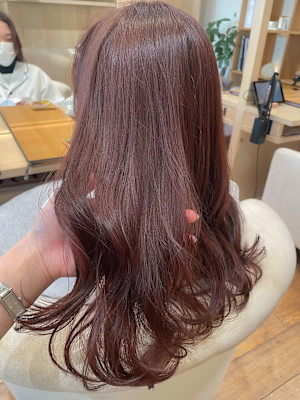 ピンクブラウンチョコレートブラウンバーガンディダブルカラー