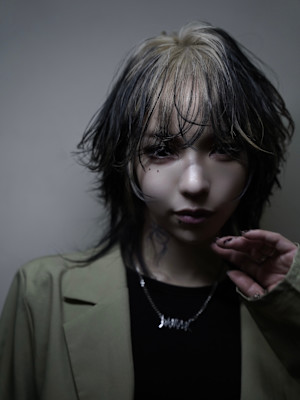 デザインカラーウルフ