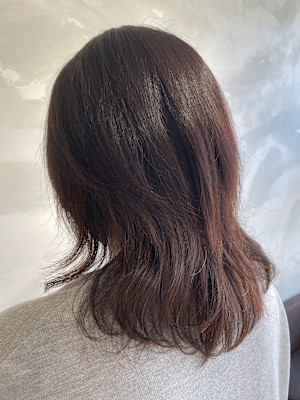 ミディアムレイヤー