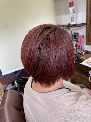 サロンヘアー・プラス×スタイル