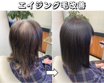 髪と頭皮のエイジング対策＊エアーストレート＆ザクロペインター
