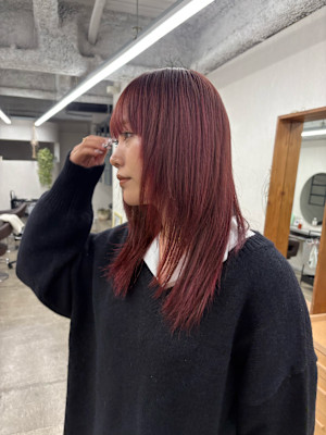 カシスレッドミディアムレイヤーカットブリーチなしダブルカラー