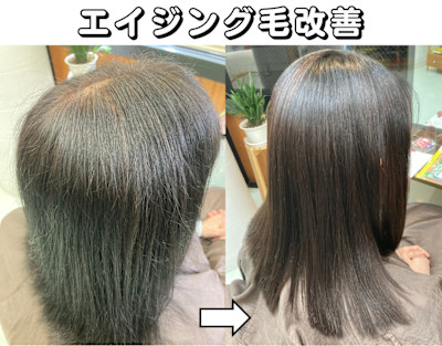 ツヤ実感！頭皮ケアもできる白髪染め「輝髪ザクロペインター」