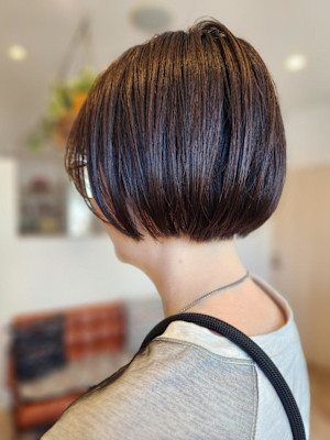 ミニボブ/アッシュ