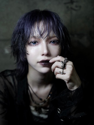 ネイビーウルフ