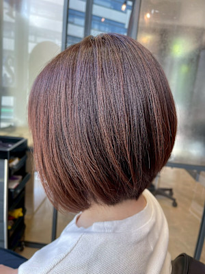 ARiA TWiN by ECLART×スタイル