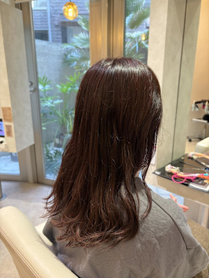 柔らかツヤ髪＊ラベンダーベージュカラー