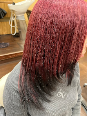 Cuore2【クオーレ2】×スタイル