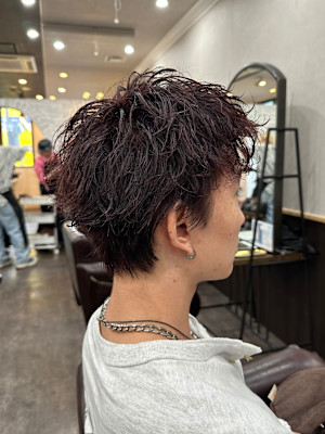 スパイキーショート/ピンカール/ツイスパ/ソフトツイスパ