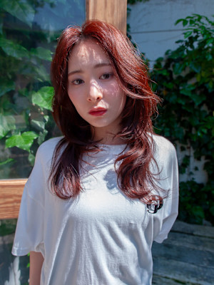 ロングレイヤー