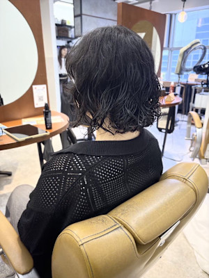 HAREKE meridish×スタイル