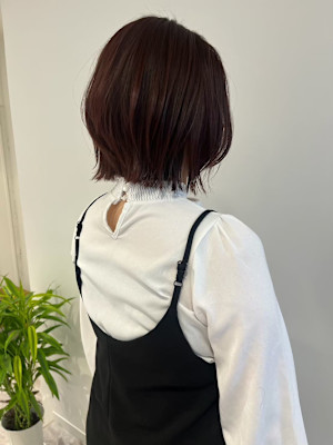 HAREKE meridish×スタイル