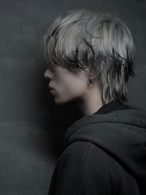 ポイントカラーウルフ