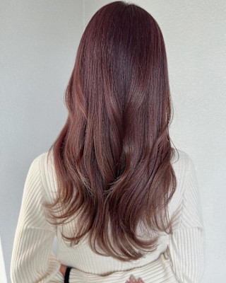 バーガンディ/ヨシンモリ/チェリーレッド